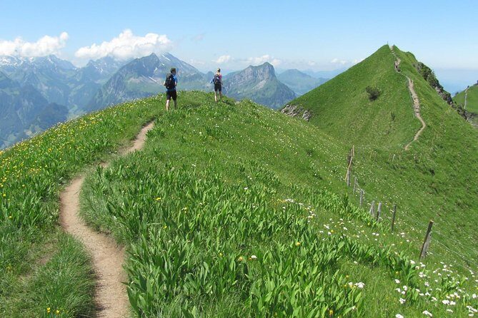 Peak to Peak Private Hiking Tour from Lucerne - The ridge hike from Klingenstock: 3 to 4 hours of real alpine panorama