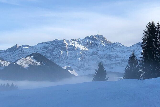 Private Guided Swiss Alps Day Trip from Zurich with Hotel Pick-Up - Price and value: what $369+ buys you