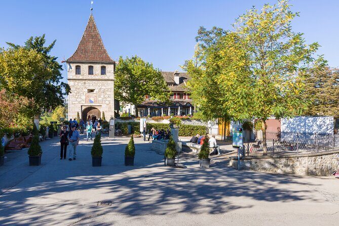 Rhine Falls Coach Tour incl. entry tickets from Zurich - Price and Value: What You Get for $66.04