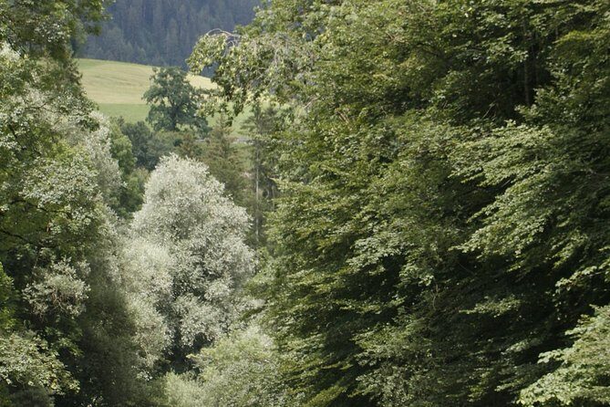 River Rafting Simme with OUTDOOR - The 40-minute drive: setting expectations before the first rapid