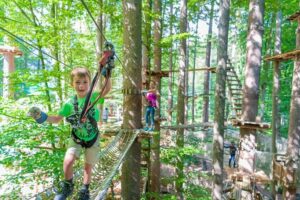 Ropes Park Interlaken - The Safety Setup: Harness, Helmet, and Professional Instruction