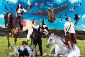 Skip the Line: Falconeria Locarno Ticket - Getting There and Finding the Right Moment in Locarno