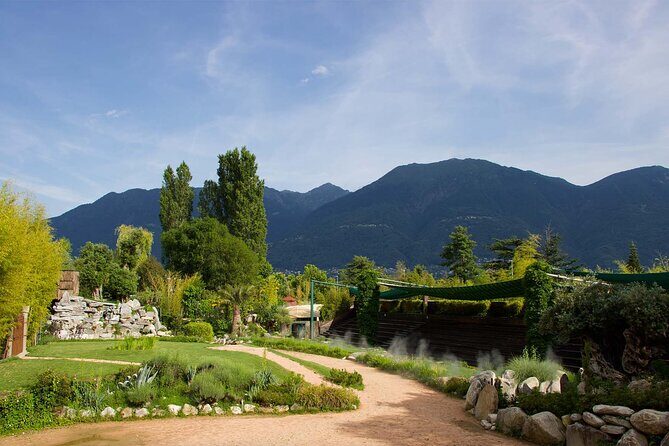 Skip the Line: Falconeria Locarno Ticket - Pricing and Value: Is $38.61 Worth It