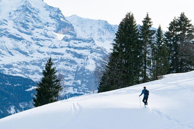 Snowshoe Adventure in the Swiss Alps - Key Points I’d Bank On