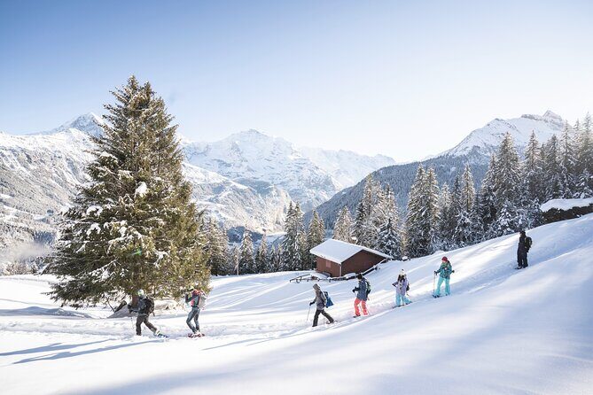 Snowshoe Adventure in the Swiss Alps - Interlaken Is the Right Starting Line for Swiss-Alps Winter Quiet