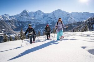 Snowshoe Adventure in the Swiss Alps - Price and Value: What $130.45 Really Buys You