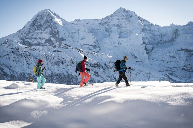 Snowshoe Adventure in the Swiss Alps - The Real Star: Views of Eiger, Mönch, and Jungfrau