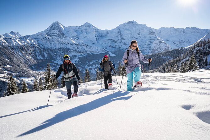 Snowshoe Adventure in the Swiss Alps - Price and Value: What $130.45 Really Buys You
