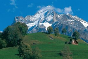 Swiss Alps: Interlaken and Grindelwald Day Trip from Zurich - Getting from Zurich to the Bernese Oberland on a deluxe coach