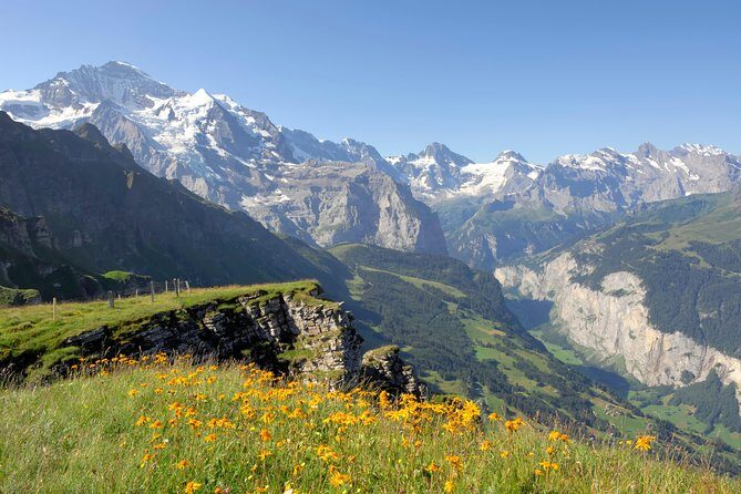 Swiss Alps: Interlaken and Grindelwald Day Trip from Zurich - Guide quality swings: why Kid, Hans, and Raymond get named