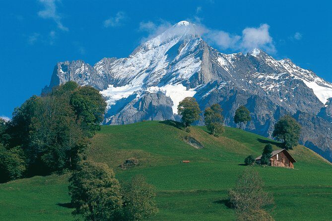 Swiss Alps: Interlaken and Grindelwald Day Trip from Zurich - Getting from Zurich to the Bernese Oberland on a deluxe coach