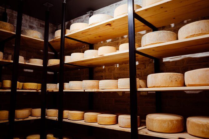 Swiss Cheese Tasting Experience | Basel - The 35-minute flow: cheese process, happy cows, and real variety