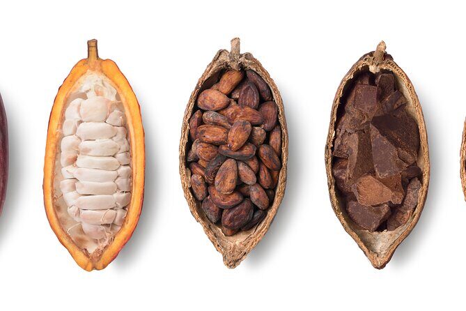 Swiss Chocolate Tasting Experience | Basel - What you’ll taste: six grand cru chocolates plus truffles