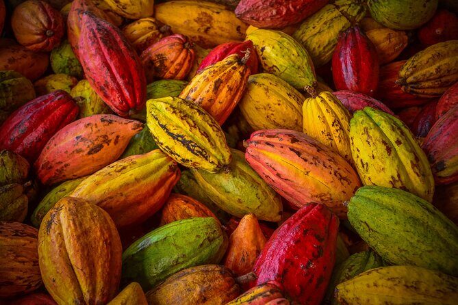 Swiss Chocolate Tasting Experience | Basel - Price and value: what $25 buys you (and what it doesn’t)