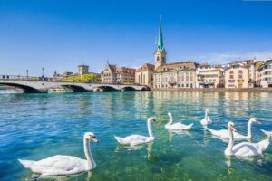 The Best of Zurich Including Panoramic Views in a Small Group Walking Tour - Lindenhof Hill: the relaxed pause with history in the foreground