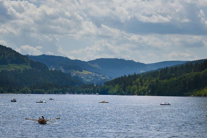 Trip from Zurich to Germany's Black Forest & Swiss Rhine Falls - Why This Day Trip Works (Even If You Think You Know the Rhine)
