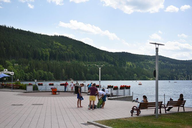 Trip from Zurich to Germany's Black Forest & Swiss Rhine Falls - Rhine Falls: 90 Minutes to Watch the Water Win