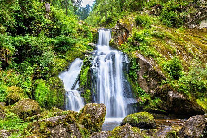 Trip from Zurich to Germany's Black Forest & Swiss Rhine Falls - Price and Value: What You’re Really Paying For
