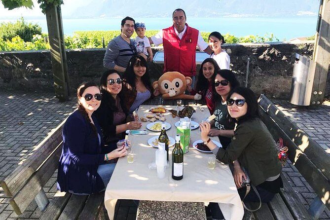Vevey, Montreux, Chillon Day Trip from Geneva - UNESCO Lavaux terraces: the view stop with wine or juice