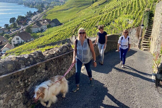 Vine Stories: Lavaux & Lutry wine walk - Key things you’ll notice