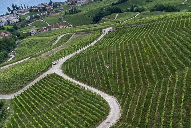 Vine Stories: Lavaux & Lutry wine walk - What Marc Brings to the Walk: History, Answers, and Small-Group Flexibility