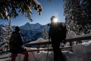 Winter Alpine Adventure - Gondola Ride to Sulwald: The View Comes First