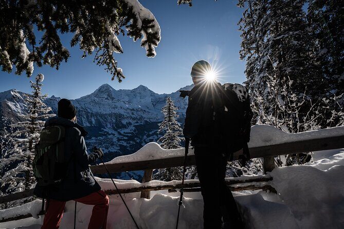 Winter Alpine Adventure - Gondola Ride to Sulwald: The View Comes First