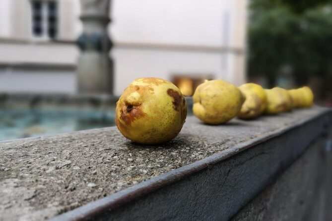 Zürich Historic District Tour - Brunngasse’s Private Picture and Spiegelgasse’s Lenin Street Story